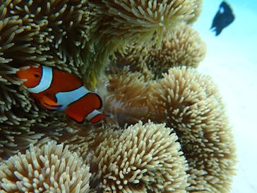 宮古島 ADVENTURE PiPi（ミヤコジマ アドベンチャー ピピ）に投稿された画像（2022/4/26）