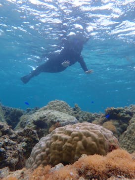 宮古島 ADVENTURE PiPi（ミヤコジマ アドベンチャー ピピ）に投稿された画像（2022/4/26）