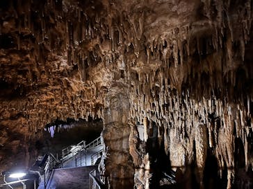 おきなわワールドに投稿された画像（2022/4/26）