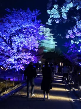 姫路城（イベント）に投稿された画像（2022/4/26）