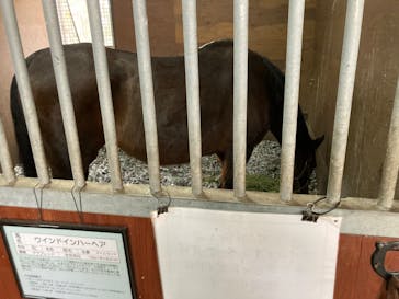 ノーザンホースパークに投稿された画像（2022/4/27）