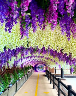 東京サマーランドに投稿された画像（2022/4/27）