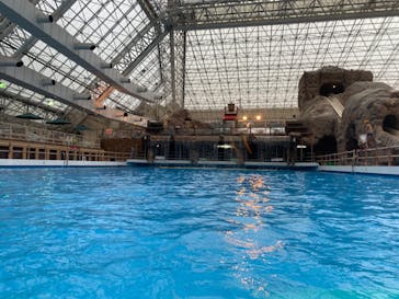 東京サマーランドに投稿された画像（2022/4/27）