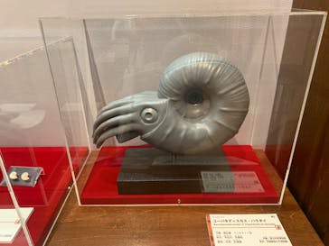 国立科学博物館　特別企画展「ポケモン化石博物館」に投稿された画像（2022/4/27）