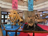 国立科学博物館　特別企画展「ポケモン化石博物館」に投稿された画像（2022/4/27）