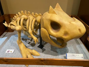 国立科学博物館　特別企画展「ポケモン化石博物館」に投稿された画像（2022/4/27）