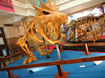 国立科学博物館　特別企画展「ポケモン化石博物館」に投稿された画像（2022/4/27）