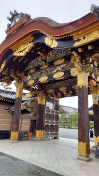 元離宮二条城に投稿された画像（2022/4/27）