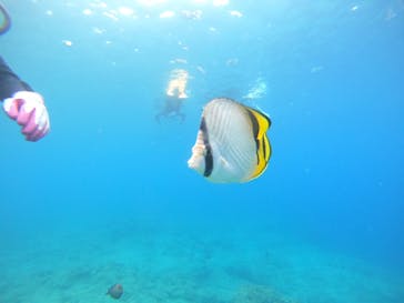 武藤潜水に投稿された画像（2022/4/27）