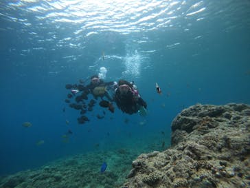 武藤潜水に投稿された画像（2022/4/27）