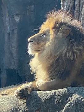 天王寺動物園に投稿された画像（2022/4/27）