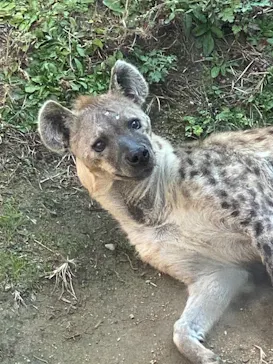 天王寺動物園に投稿された画像（2022/4/27）