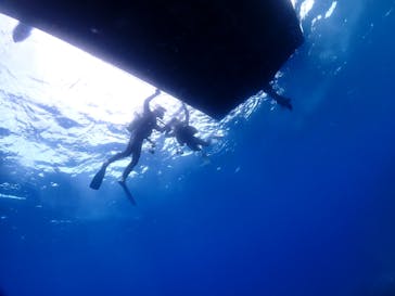 ダイブロックに投稿された画像（2022/4/27）