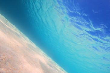 アクアドロップに投稿された画像（2022/4/27）