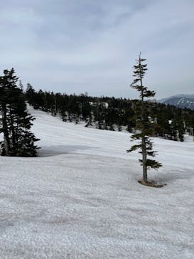 横手山・渋峠スキー場に投稿された画像（2022/4/27）