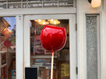 西武園ゆうえんちに投稿された画像（2022/4/27）