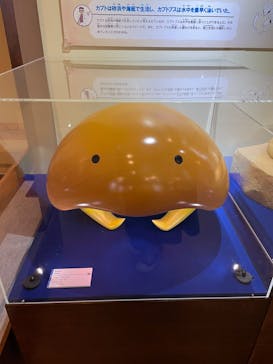 国立科学博物館　特別企画展「ポケモン化石博物館」に投稿された画像（2022/4/27）