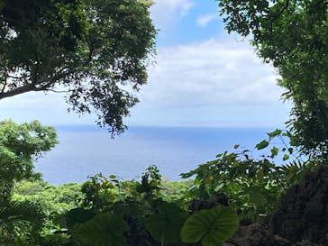 アスムイハイクスに投稿された画像（2022/4/27）