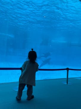 名古屋港水族館に投稿された画像（2022/4/27）