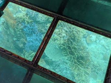 川平マリンサービスに投稿された画像（2022/4/27）