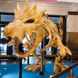 国立科学博物館　特別企画展「ポケモン化石博物館」に投稿された画像（2022/4/28）