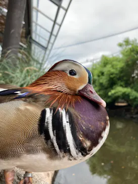 神戸どうぶつ王国に投稿された画像（2022/4/28）