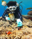 青の洞窟専門店　沖縄ダイビングショップ和に投稿された画像（2022/4/28）