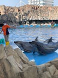 名古屋港水族館に投稿された画像（2022/4/28）