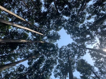 アドベンチャーパーク　オドルの森に投稿された画像（2022/4/28）