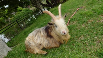 アロハガーデンたてやまに投稿された画像（2022/4/28）