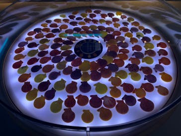 古宇利オーシャンタワーに投稿された画像（2022/4/28）