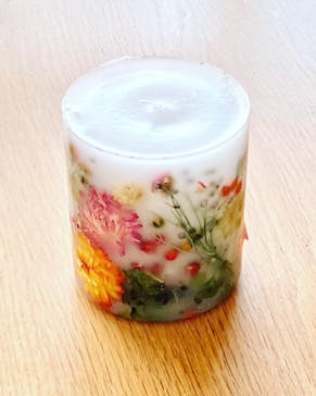 ずこうしつ〜sugamo〜に投稿された画像（2022/4/28）