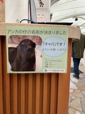 サンシャイン水族館に投稿された画像（2022/4/28）