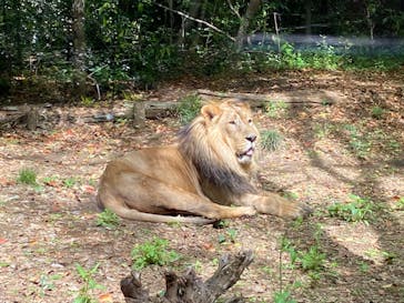 よこはま動物園ズーラシアに投稿された画像（2022/4/29）