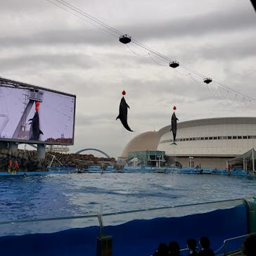 名古屋港水族館に投稿された画像（2022/4/29）