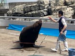 大分マリーンパレス水族館 「うみたまご」に投稿された画像（2022/4/29）
