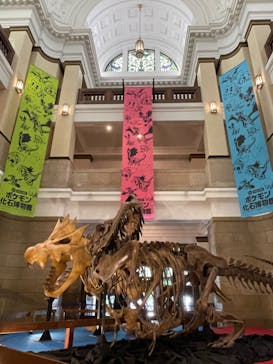 国立科学博物館　特別企画展「ポケモン化石博物館」に投稿された画像（2022/4/29）