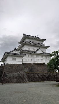 小田原城に投稿された画像（2022/4/29）