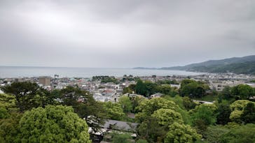 小田原城に投稿された画像（2022/4/29）