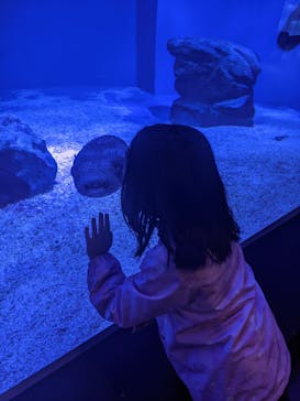 マクセル アクアパーク品川に投稿された画像（2022/4/29）