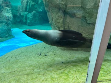 京都水族館に投稿された画像（2022/4/29）