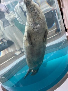 京都水族館に投稿された画像（2022/4/29）