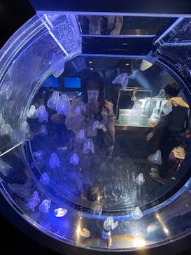 名古屋港水族館に投稿された画像（2022/4/29）