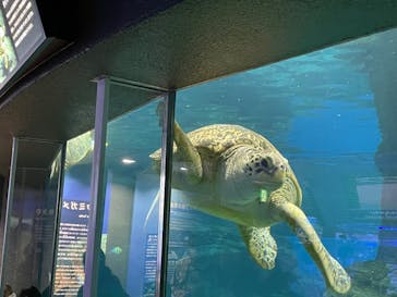 名古屋港水族館に投稿された画像（2022/4/29）