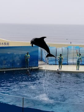 新江ノ島水族館に投稿された画像（2022/4/29）