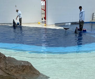 大分マリーンパレス水族館 「うみたまご」に投稿された画像（2022/4/29）