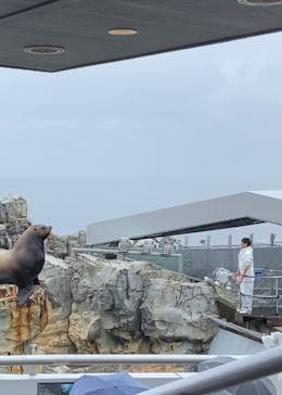 大分マリーンパレス水族館 「うみたまご」に投稿された画像（2022/4/29）