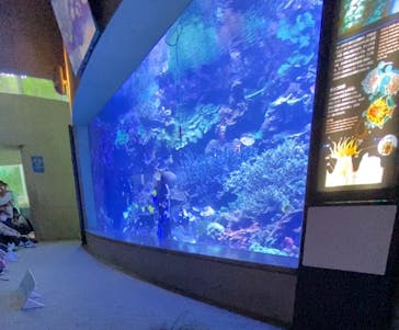 大分マリーンパレス水族館 「うみたまご」に投稿された画像（2022/4/29）