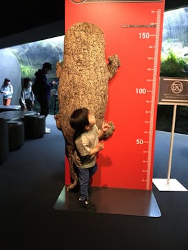 京都水族館に投稿された画像（2022/4/29）