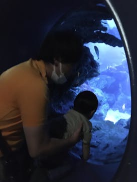 京都水族館に投稿された画像（2022/4/29）